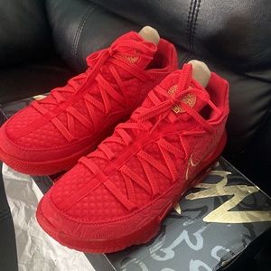 LeBron XVII Low PH edition. Never worn, original box.